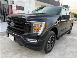 فۆرد F-150